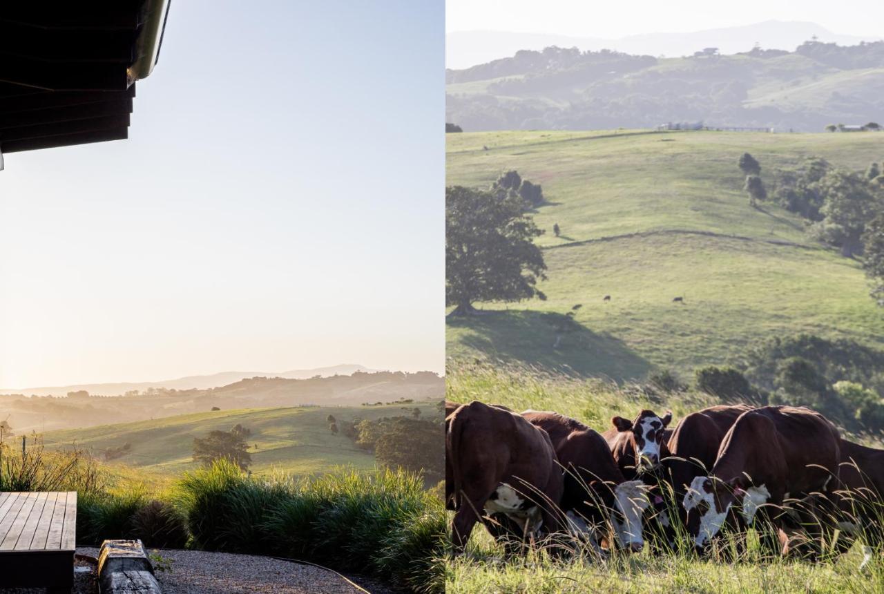 Carinya Byron Bay Villa Hayters Hill Exterior foto